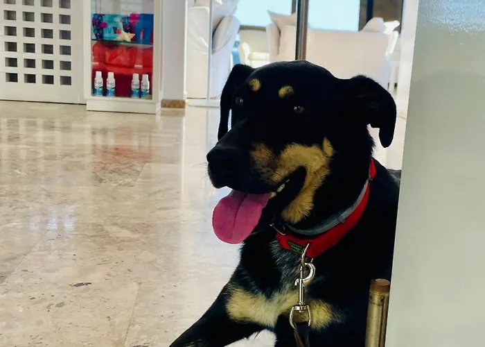 περράκης 3* Κυπρί