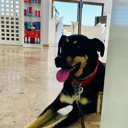 Perrakis 3* Kipri (Andros)