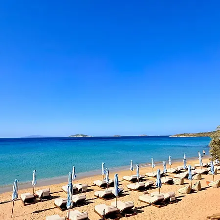 Perrakis Hotell Kipri (Andros)